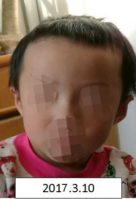 日批免费视频网站一区